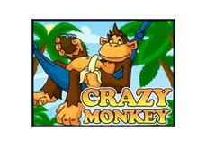 Crazy Monkey