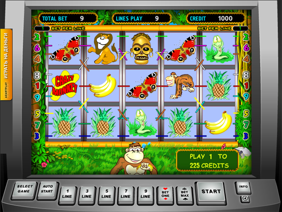 игра Crazy Monkey игра Crazy Monkey
