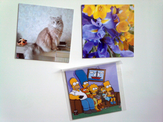 магниты на холодильник магниты на холодильник